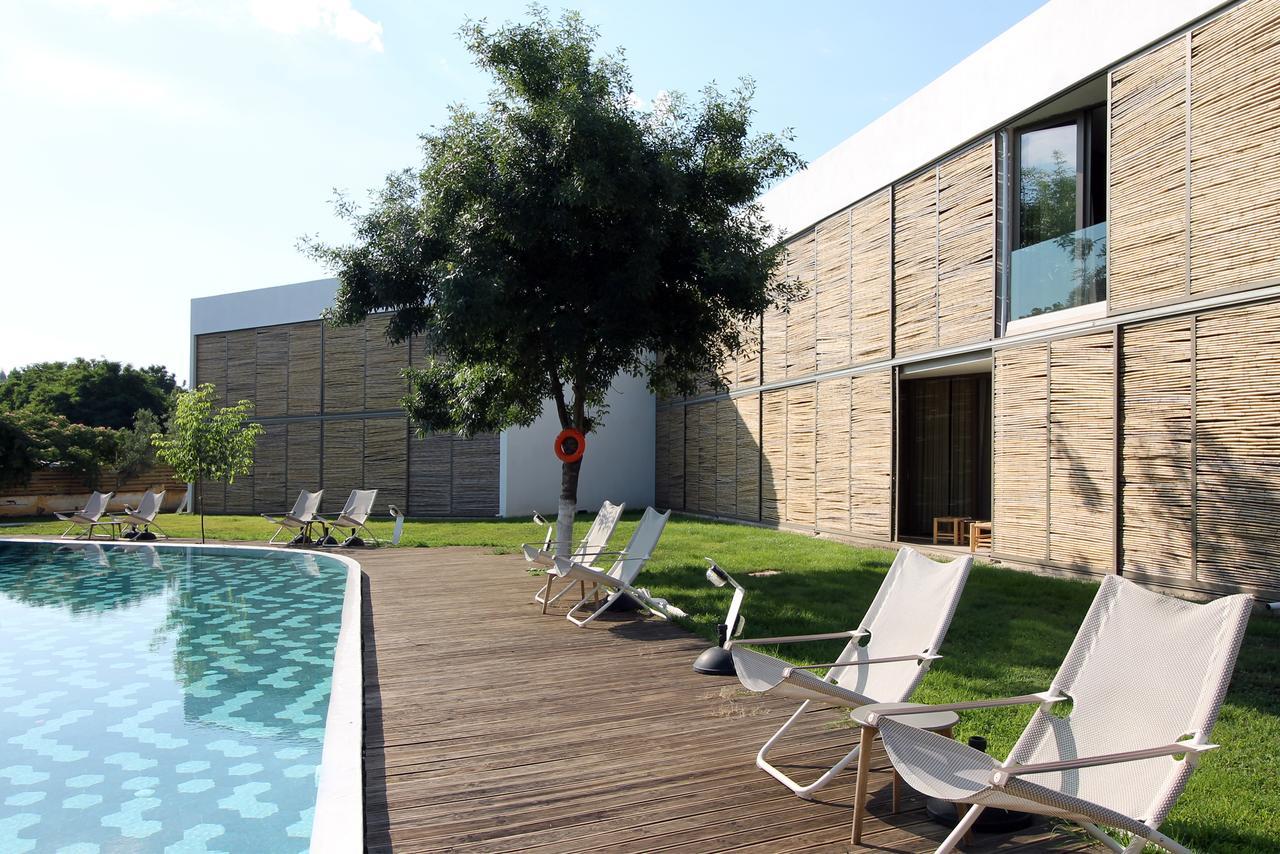 Despotiko Apt. Hotel & Suites Toroni Dış mekan fotoğraf